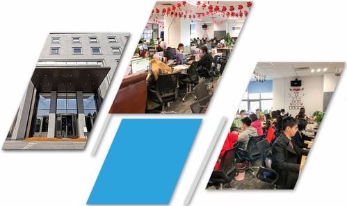 森歌网络 专注SEO营销推广，以全方位网络文化经营赋能企业品牌高效传播